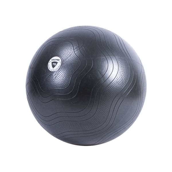 Pelota de Ejercicio LivePro
