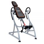 Mesa Invertible LiveUp DVS