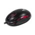 Mouse Xtech XTM-195